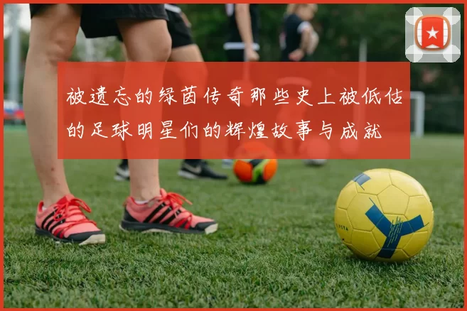 被遗忘的绿茵传奇那些史上被低估的足球明星们的辉煌故事与成就