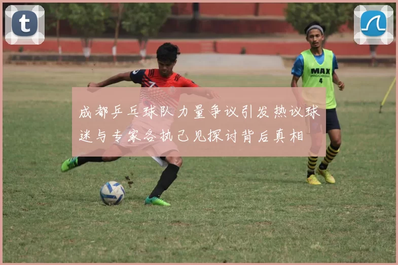 成都乒乓球队力量争议引发热议球迷与专家各执己见探讨背后真相