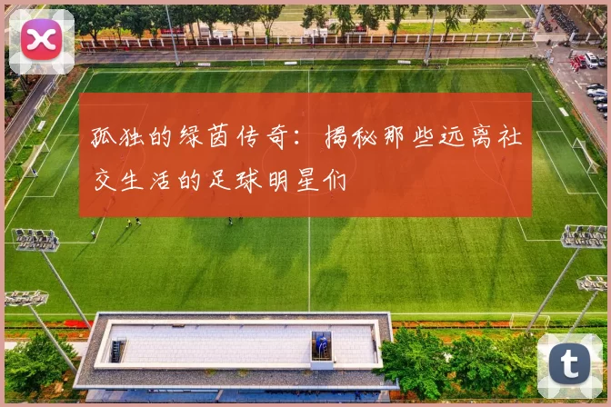 孤独的绿茵传奇：揭秘那些远离社交生活的足球明星们
