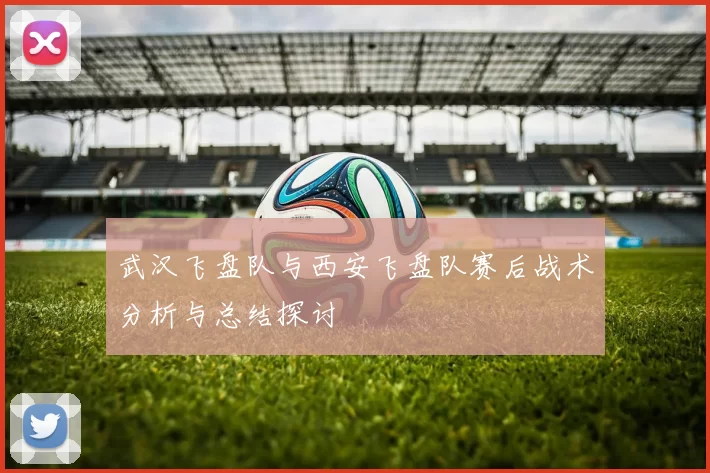武汉飞盘队与西安飞盘队赛后战术分析与总结探讨