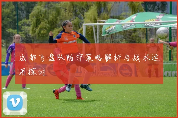 成都飞盘队防守策略解析与战术运用探讨