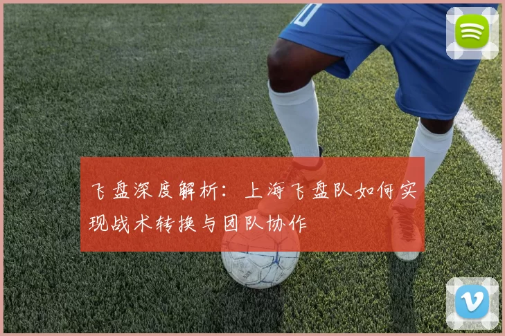 飞盘深度解析：上海飞盘队如何实现战术转换与团队协作