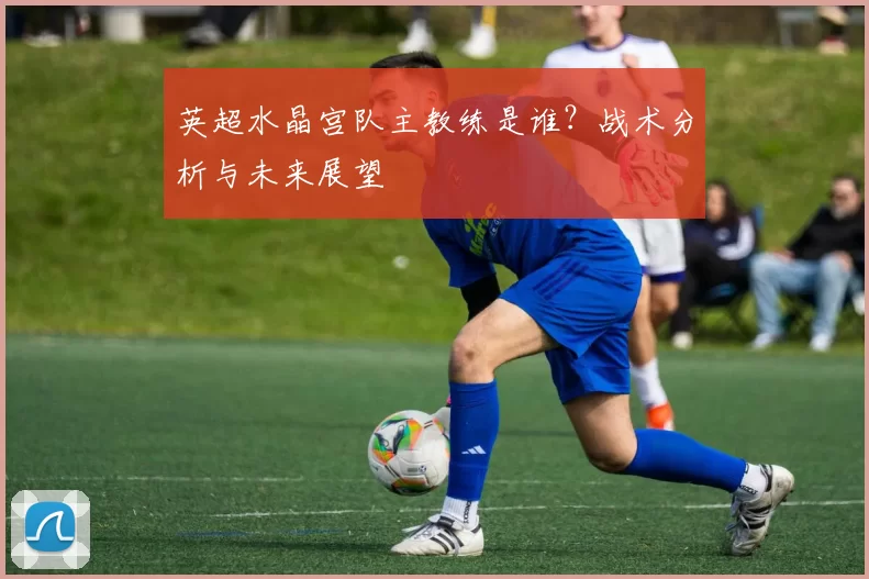 英超水晶宫队主教练是谁？战术分析与未来展望