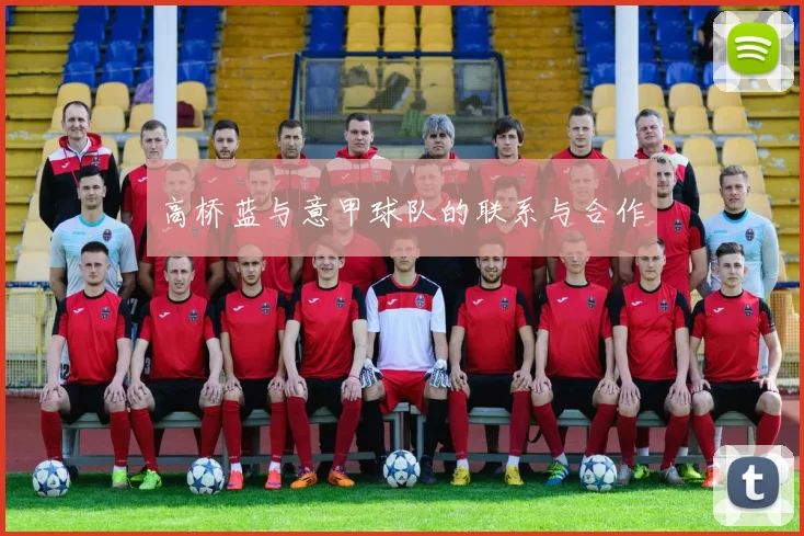 高桥蓝与意甲球队的联系与合作