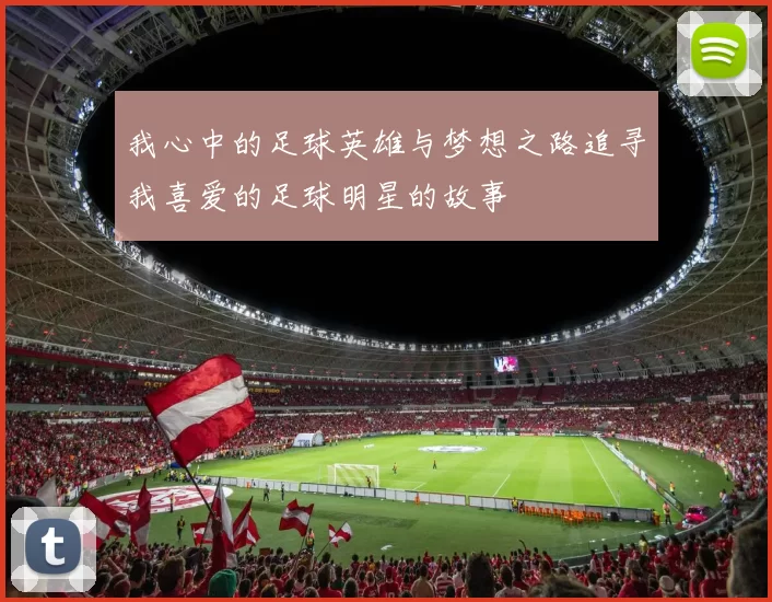我心中的足球英雄与梦想之路追寻我喜爱的足球明星的故事