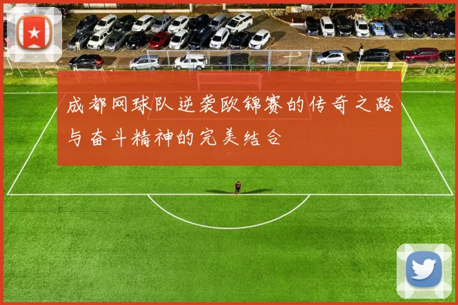 成都网球队逆袭欧锦赛的传奇之路与奋斗精神的完美结合