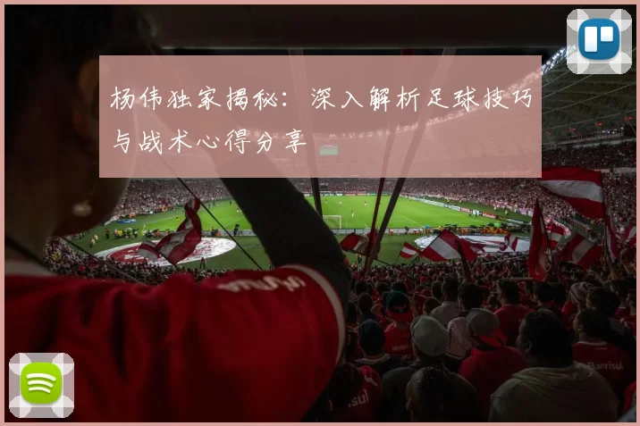 杨伟独家揭秘：深入解析足球技巧与战术心得分享