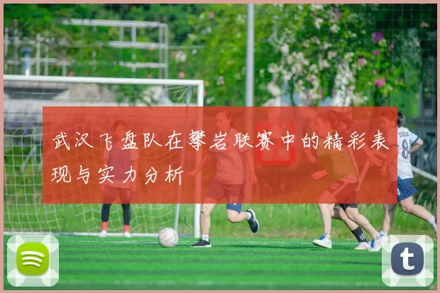 武汉飞盘队在攀岩联赛中的精彩表现与实力分析