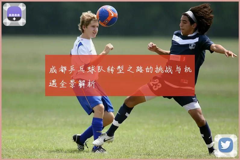成都乒乓球队转型之路的挑战与机遇全景解析