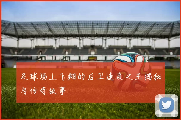 足球场上飞翔的后卫速度之王揭秘与传奇故事