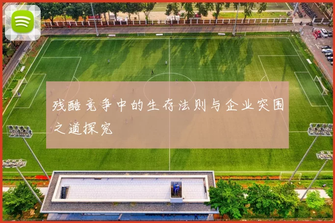 残酷竞争中的生存法则与企业突围之道探究