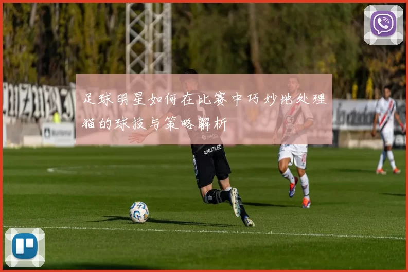 足球明星如何在比赛中巧妙地处理猫的球技与策略解析